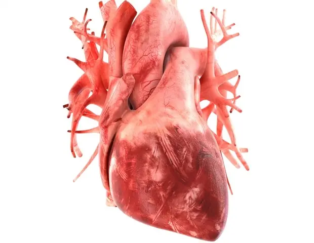 Infecțiile cardiace cauzate de droguri scad odată cu scăderea opioidelor