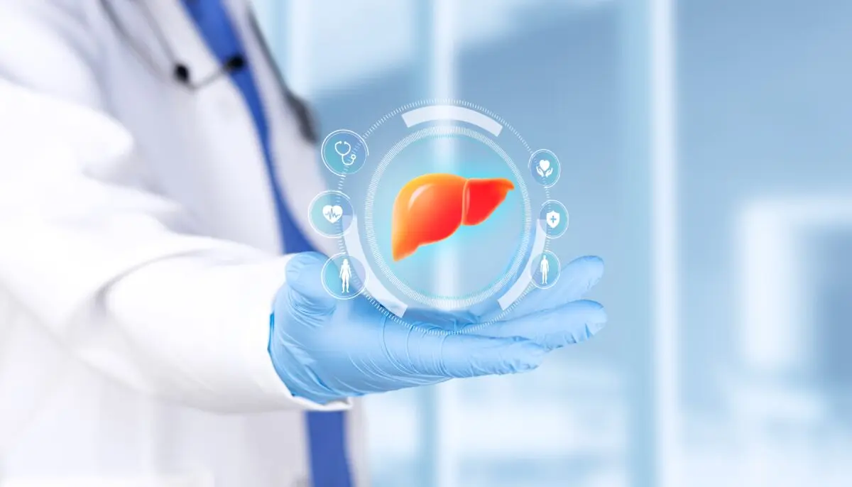 Ficatul gras fără alcool: cauze, factori și soluții pentru steatoza hepatică nonalcoolică