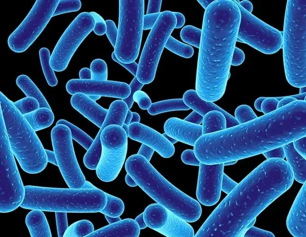 Spațiul din spatele spălat: cum canalizarea spitalului hrănește bacteriile rezistente