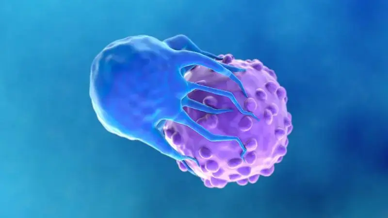 Mayo Clinic: 10 ani de terapie cu celule CAR-T