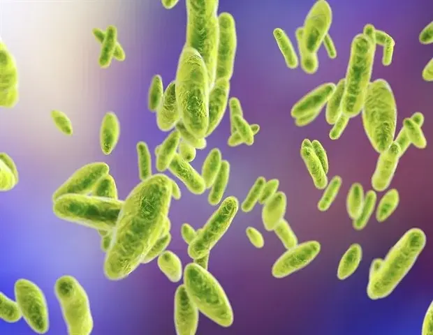 Cum prevăd meteorologii următoarea erupție de Ebola
