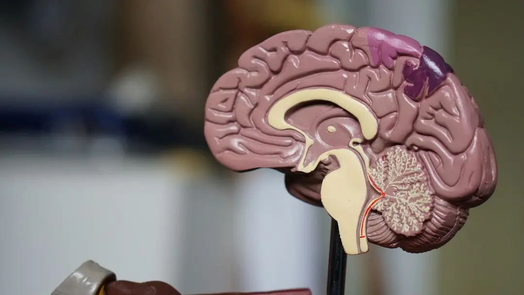 Diabet, ADHD și Alzheimer: Un studiu britanic combină tratamentele existente